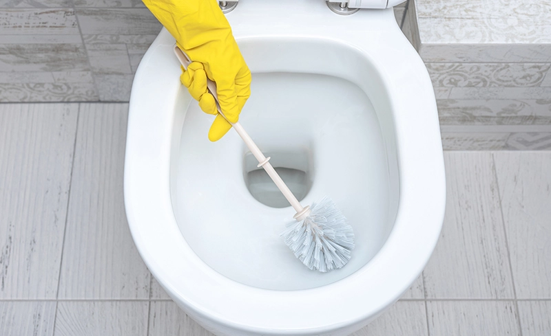 Bowl Cleaner UAE